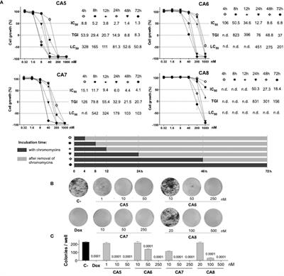 Frontiers | Chromomycin A5 induces bona fide immunogenic cell